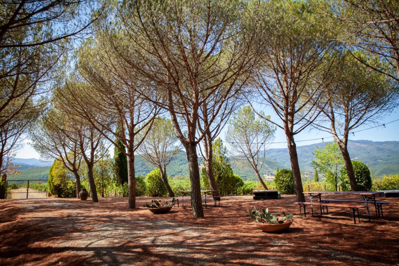 Villa Buccia Nera Chiassa Superiore Exterior foto